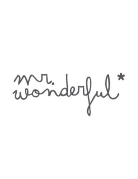 Mr. Wonderful